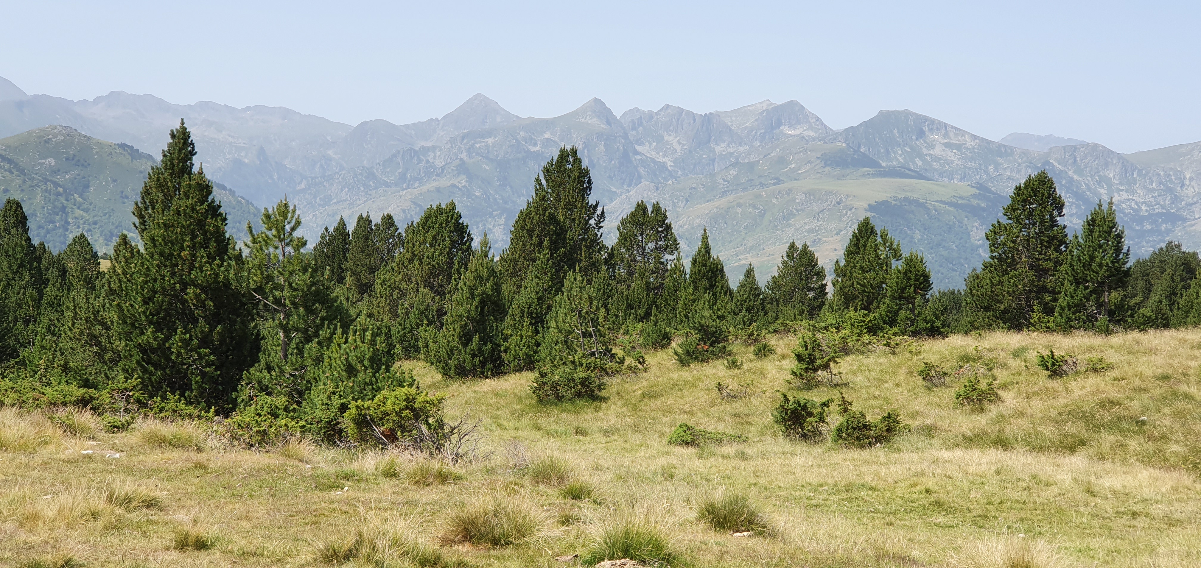 Photo n° 3 de l'avis de Stefaan.e fait le 22/07/2019 à 14:56