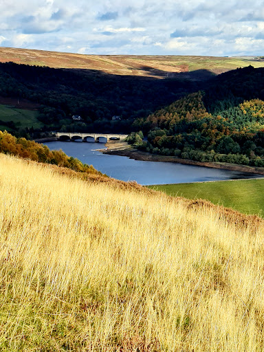 Hardhurst Farm Camping & Caravan Site in Hope Valley, - Zaubee