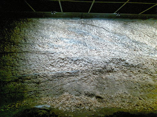 Museum «Mound House», reviews and photos, 451 Connecticut St, Fort Myers Beach, FL 33931, USA