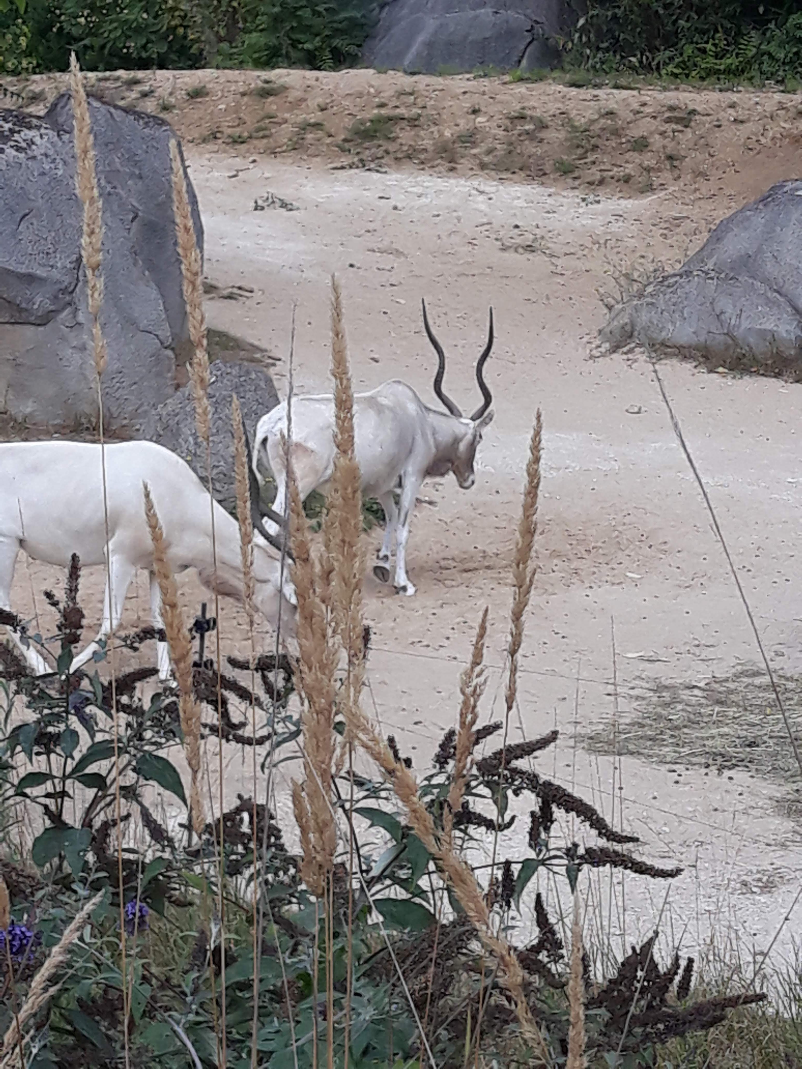 Photo n° 29 de l'avis de Ludo.a fait le 30/08/2021 à 17:15