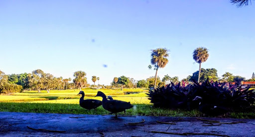 Country Club «Country Club of Miami», reviews and photos, 6801 NW 186th St, Hialeah, FL 33015, USA