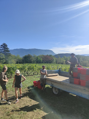 Domaine de Pacotille à Andert-et-Condon