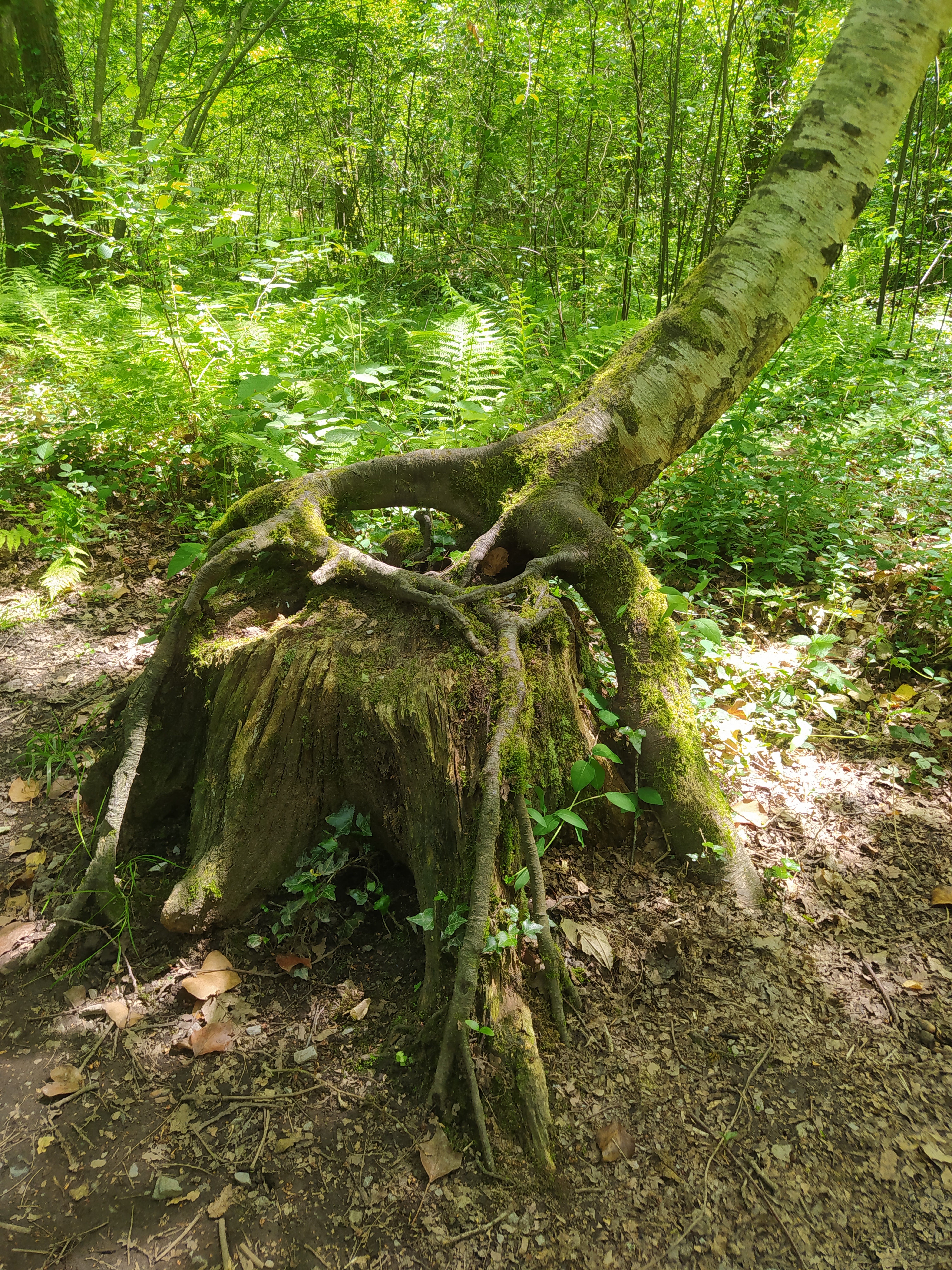 Photo n° 1 de l'avis de Hugo.e fait le 15/05/2022 à 14:49