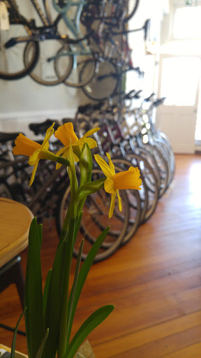 Bicycle Store «Matawan Bike Shop», reviews and photos, 77 Main St, Matawan, NJ 07747, USA