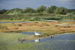 RSPB Rye Meads image