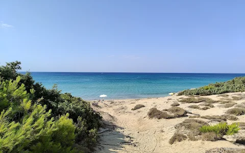 Campomarino Dunes image