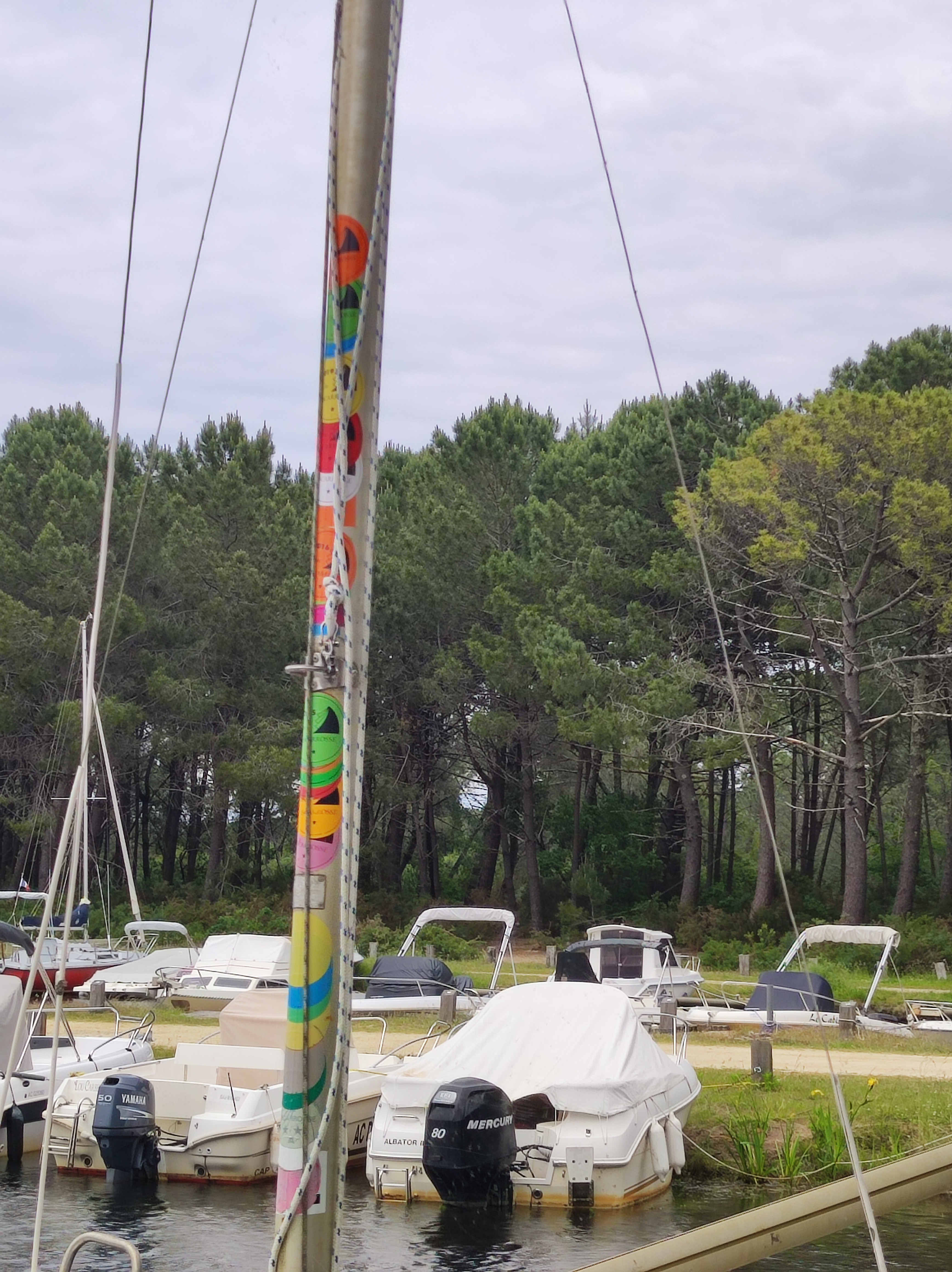 Photo n° 3 de l'avis de latreuille.� fait le 01/06/2023 à 18:21