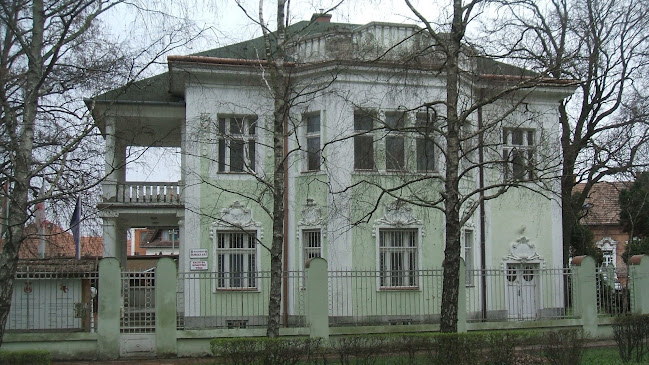 Kalocsa, Kubinszky u. 8, 6300 Magyarország