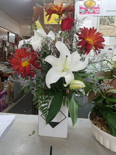Florist «Dillon & Son Florists», reviews and photos, 180 Boston Ave, Stratford, CT 06614, USA