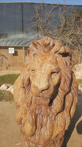 Zoo «Lion Habitat Ranch Inc», reviews and photos, 382 Bruner Ave, Henderson, NV 89044, USA