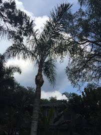 Nations Landscaping, LLC - Photo 9 - Car repair in Orlando, FL, Orlando