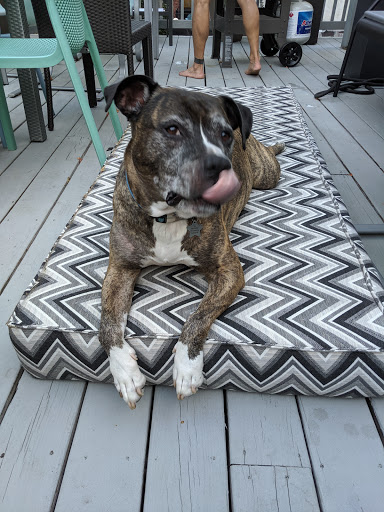 Furniture Store «MiY Home», reviews and photos, 1605 Eastern Ave, Baltimore, MD 21231, USA