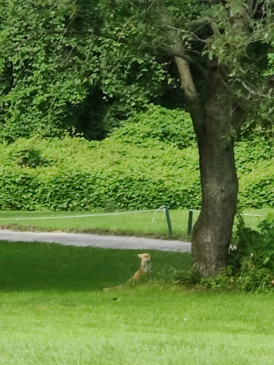 Golf Course «Kissena Park Golf Course», reviews and photos, 164-15 Booth Memorial Ave, Fresh Meadows, NY 11365, USA