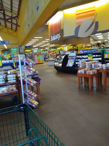 Grocery Store «BI-LO», reviews and photos, 115 Willbrook Blvd, Pawleys Island, SC 29585, USA