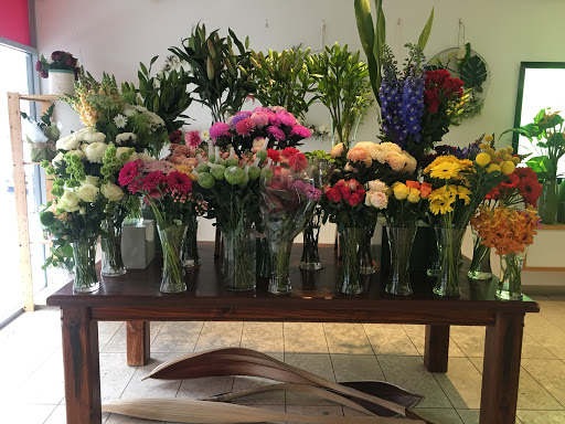 Alyssiums on Pirie : Same Day Flower Deliveries Adelaide