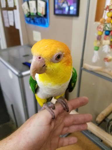 Pet Store «Just Pets», reviews and photos, 393 NY-5, Irving, NY 14081, USA