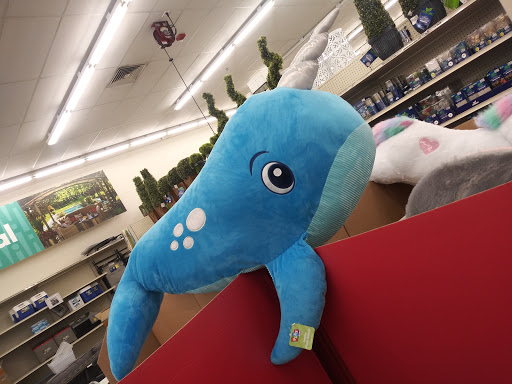 Discount Store «Big Lots», reviews and photos, 4830 W 120th Ave, Westminster, CO 80020, USA