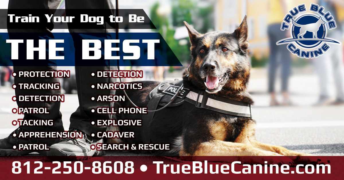 True Blue Canine Training