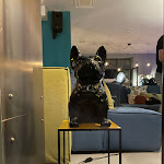 Photo n°3 de l'avis de Giusi.a fait le 13/08/2022 à 16:08 sur le  Arryvo Hotel à Lecce