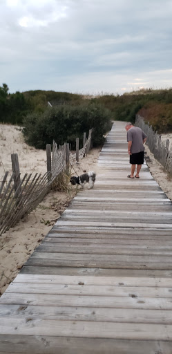 Army & Navy Surplus Shop «Navy Exchange-Dam Neck Annex», reviews and photos, 1977 Terrier Ave, Virginia Beach, VA 23461, USA