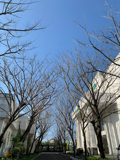 Top 10 cửa hàng đồ gỗ Huyện Đảo Cồn cỏ Quảng Trị 2022