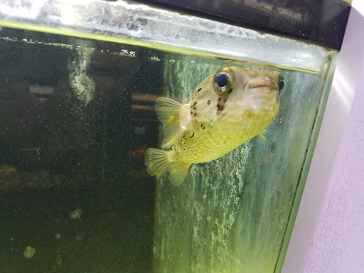 Pet Store «Pet World», reviews and photos, 891 Harriman Pl, San Bernardino, CA 92408, USA