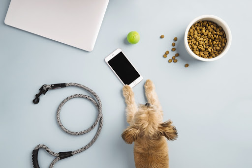 Pet Supply Store «PetSmart», reviews and photos, 4240 S Mooney Blvd, Visalia, CA 93277, USA