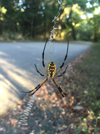 Park «Oakwell TrailHead Park», reviews and photos, 150 Ira Lee Rd, San Antonio, TX 78218, USA