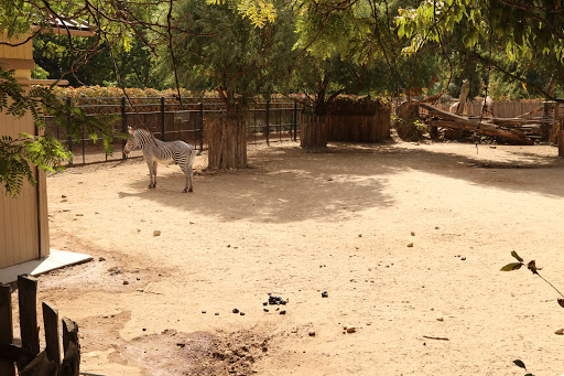 Zoo «Zoo Boise», reviews and photos, 355 Julia Davis Dr, Boise, ID 83702, USA