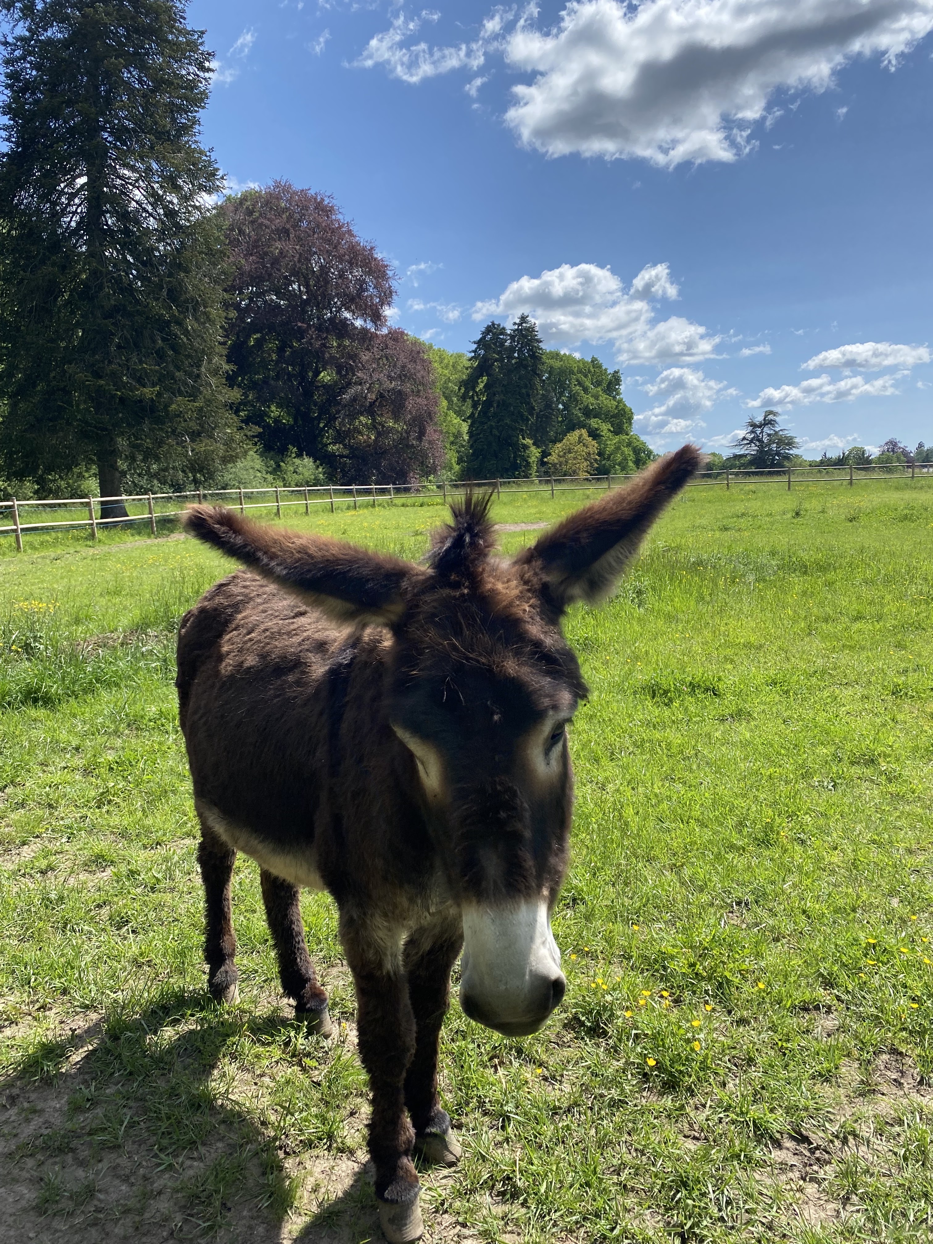 Photo n° 4 de l'avis de Colline.h fait le 18/05/2023 à 09:50