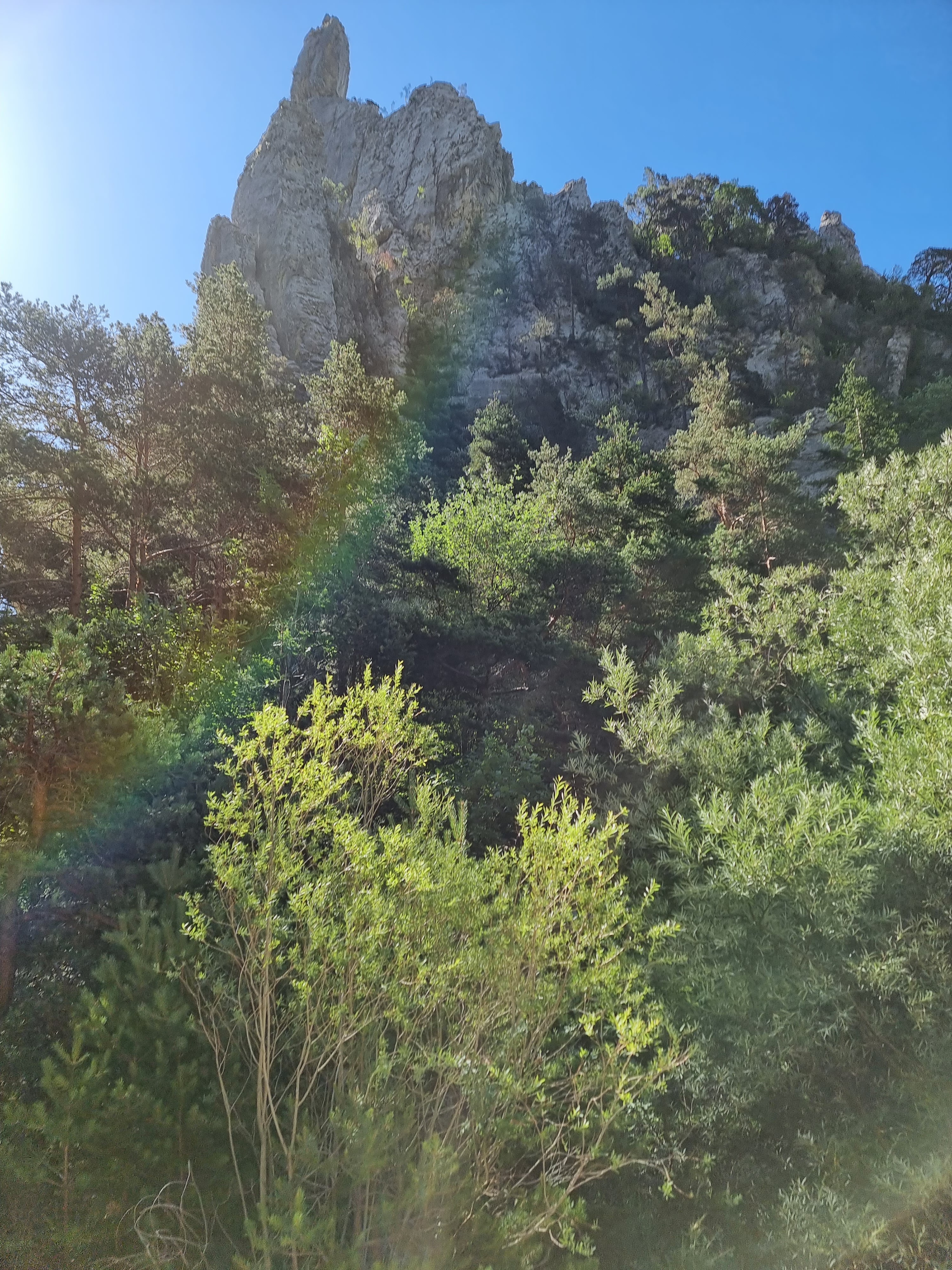 Photo n° 37 de l'avis de Viktória.i fait le 16/07/2022 à 13:58