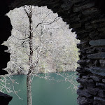 Photo n°25 de l'avis de Simona.i fait le 21/04/2019 à 20:51 sur le  Antico Borgo Di Isola Santa à Isola Santa