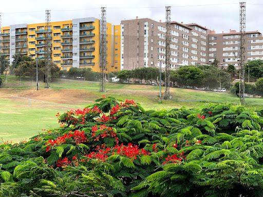 Las Palmeras Golf