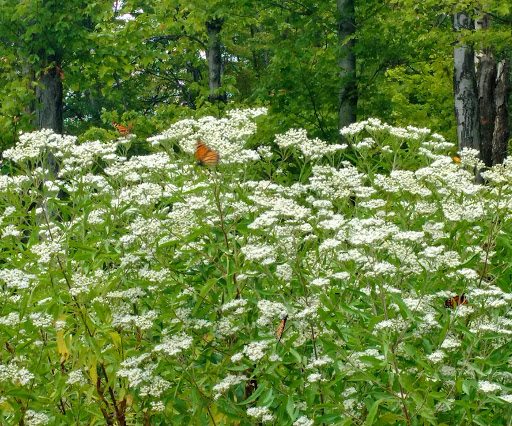 Park «Cleveland Metroparks», reviews and photos, 1969 W Ridgewood Dr, Cleveland, OH 44134, USA