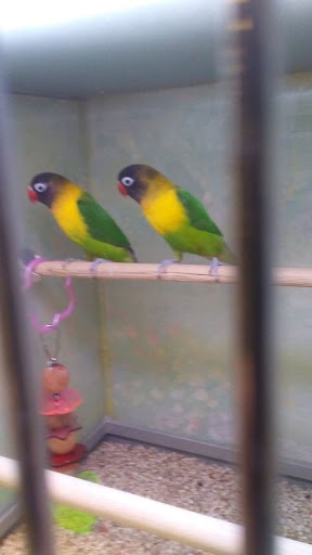 Pet Store «Claremont Pet & Aquarium Center», reviews and photos, 201 Washington St, Claremont, NH 03743, USA