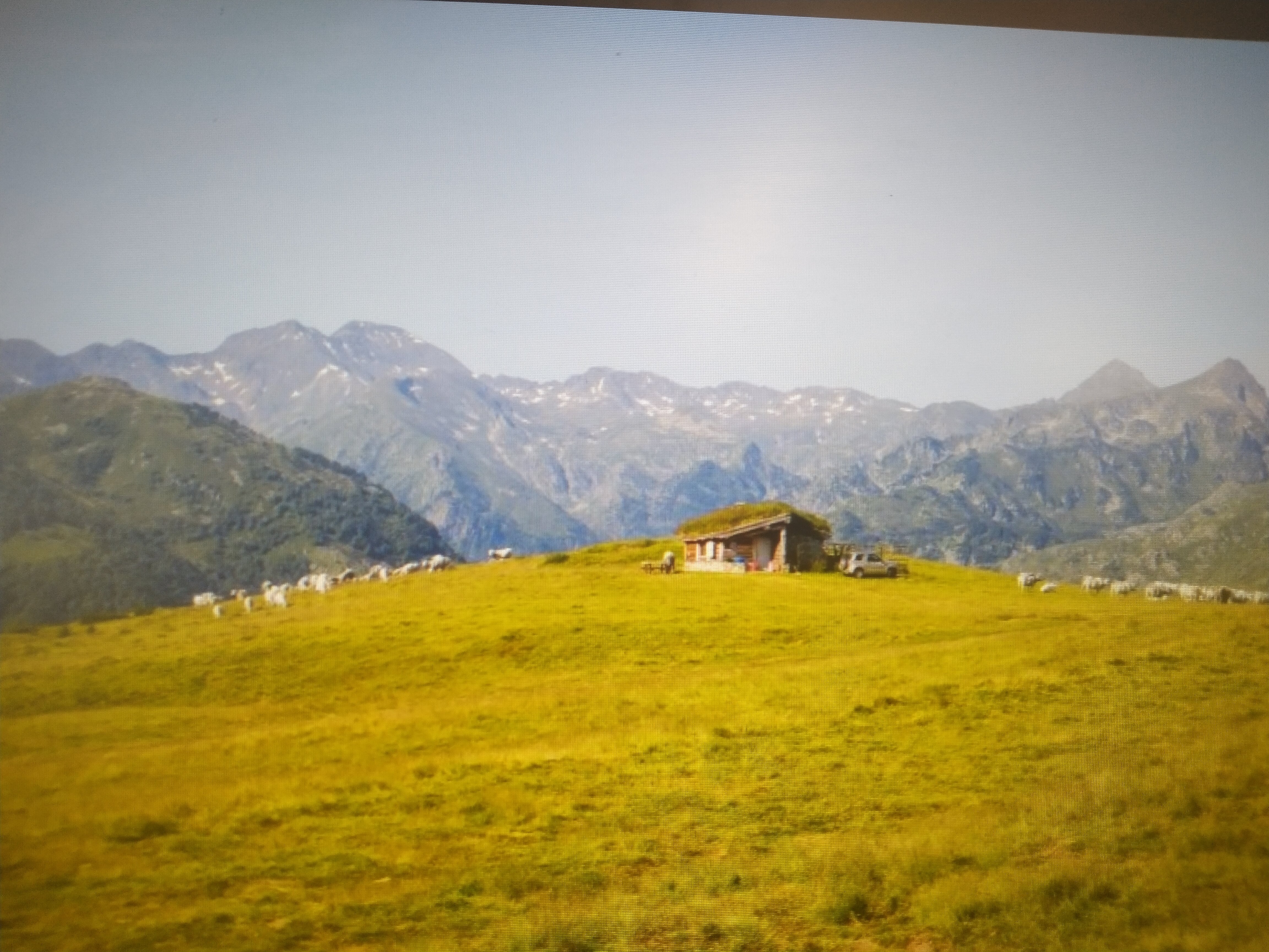 Photo n° 2 de l'avis de christophe.e fait le 24/06/2023 à 13:58