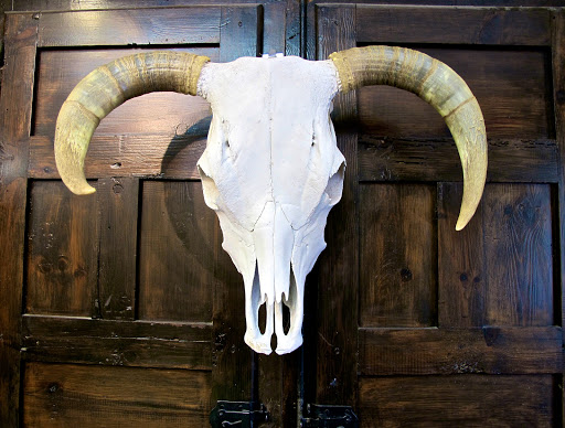 Outdoor Sports Store «Bear Mountain Outfitters Manly Toys And Hobbies», reviews and photos, 35 Hypolita St #105, St Augustine, FL 32084, USA