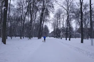 Belousovskiy Park image
