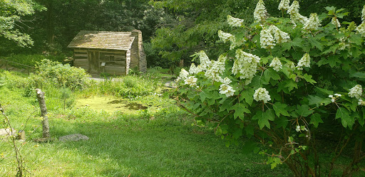 History Museum «Hickory Ridge Living History Museum», reviews and photos, 591 Horn in the W Dr, Boone, NC 28607, USA