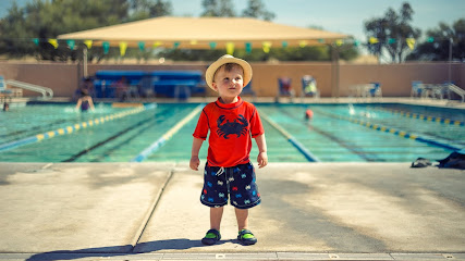 Die Wiener Schwimmschule