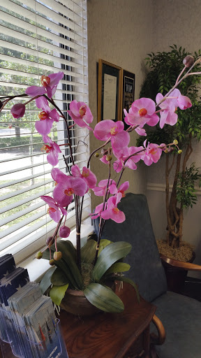 Veterans Organization «Hill and Ponton, PA», reviews and photos