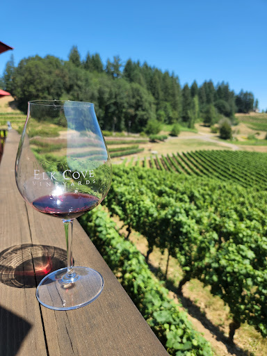 Winery «Elk Cove Vineyards», reviews and photos, 27751 NW Olson Rd, Gaston, OR 97119, USA