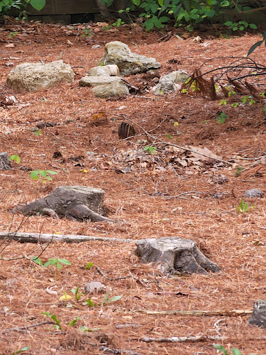 Golf Club «Linville Land Harbor Golf Club», reviews and photos, 1665 Goose Hollow Rd, Linville, NC 28646, USA