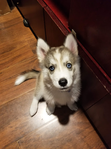 Hobby Store «ETS Hobby Shop», reviews and photos, 215 S Main St, Edinburg, VA 22824, USA