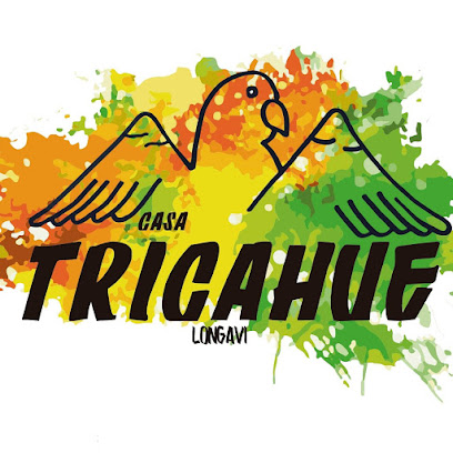 Casa Tricahue