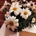 Photo n°1 de l'avis de Antonella.a fait le 18/02/2022 à 07:06 sur le  Maccheria à Cuneo