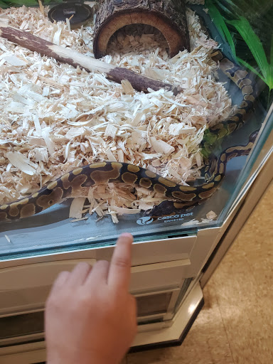 Pet Supply Store «PetSmart», reviews and photos, 156 Old Little Britain Rd, Newburgh, NY 12550, USA