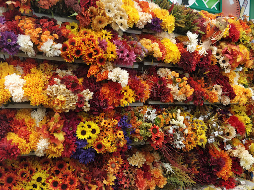 Dollar Store «Dollar Tree», reviews and photos, 2099 Philadelphia Pike, Claymont, DE 19703, USA