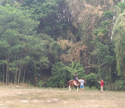 Bale Kuda Stable photo