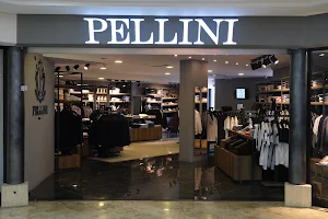 Pellini image